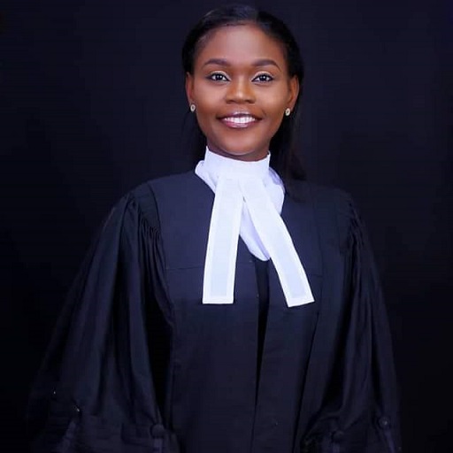 Lawyer in Abuja